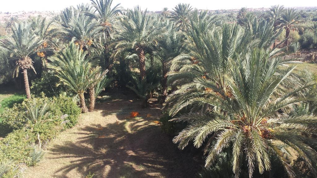 Cinema Riad Tajda Екстериор снимка