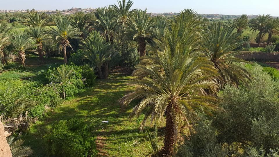 Cinema Riad Tajda Екстериор снимка