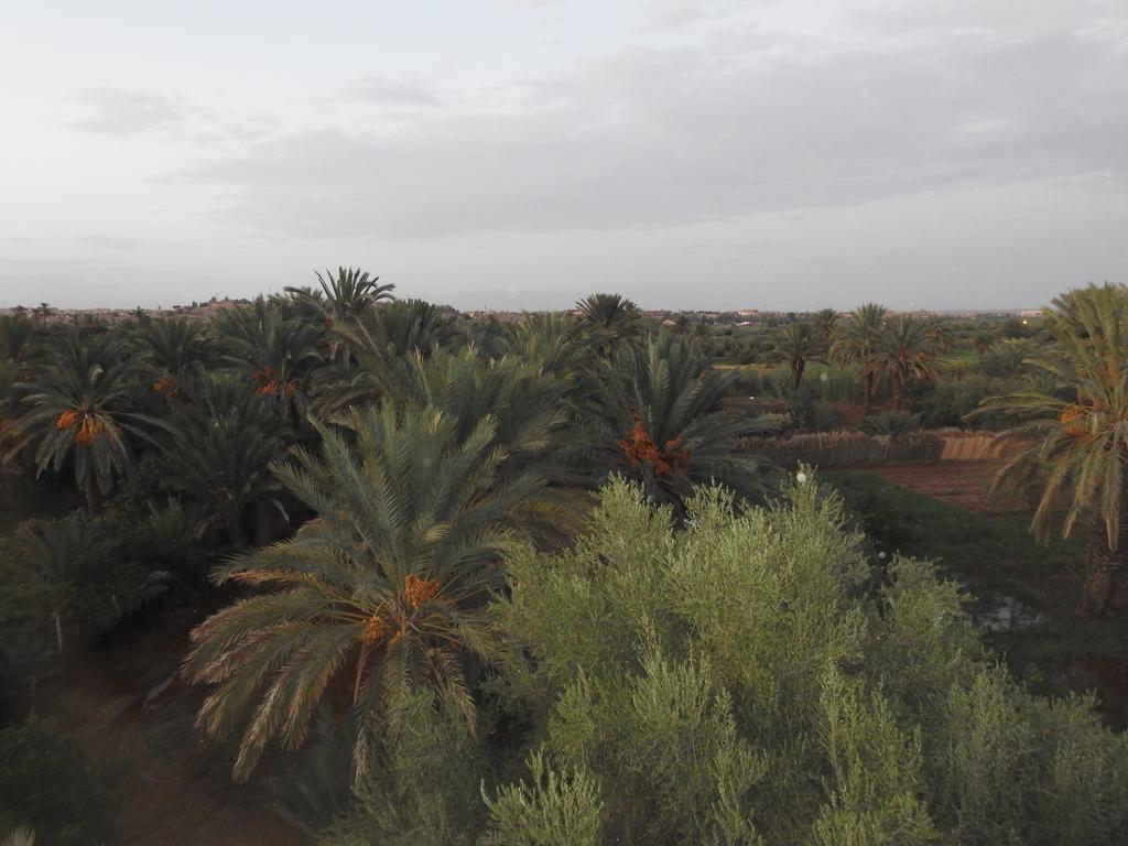 Cinema Riad Tajda Екстериор снимка